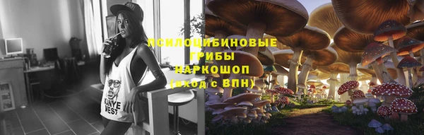 прущие грибы Семёнов