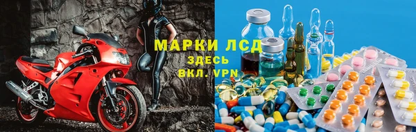 стаф Семилуки