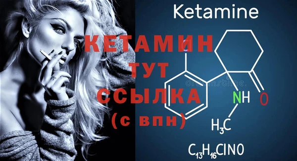 стаф Семилуки
