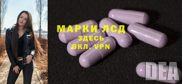 сатива Архангельск