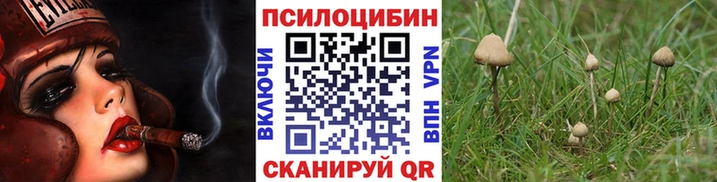 цены наркотик  Арзамас  Псилоцибиновые грибы Magic Shrooms 