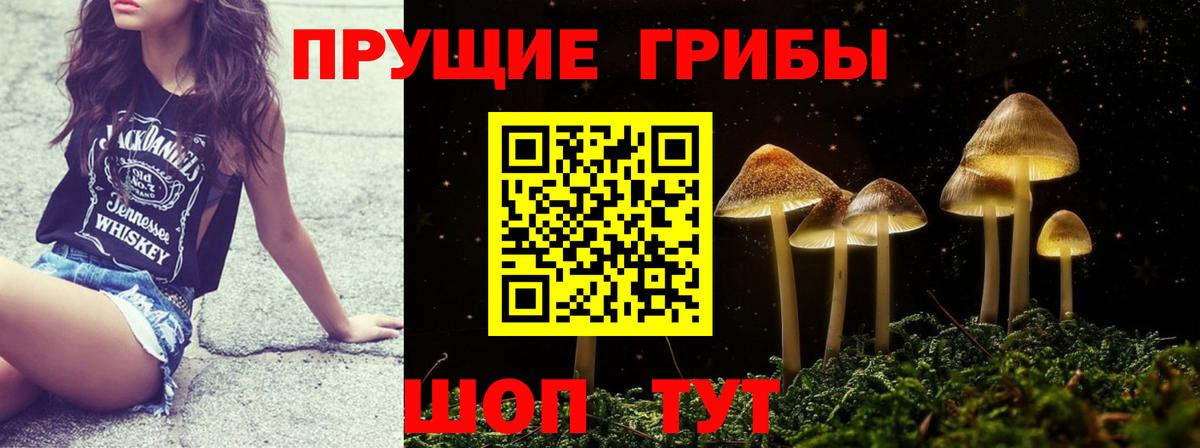 Арзамас  Галлюциногенные грибы Cubensis  Вход с VPN  Галлюциногенные грибы Cubensis 